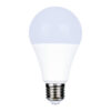Thorlıght Led Ampul 7,3W